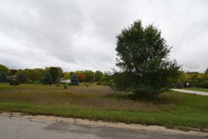 Lt10  Lakeview in Brooklyn wi. List Price: $30,000