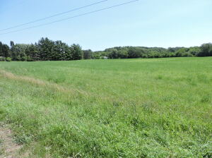 N5071  Inlynd in Concord wi. List Price: $205,000