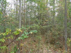 Lt0  CTH G in Spruce wi. List Price: $122,000