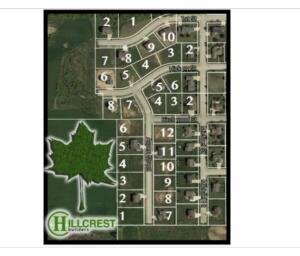 Lt3  Birchwood in Belgium wi. List Price: $45,900