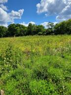 Lt0  Maple  Ave in Sussex wi. List Price: $840,000