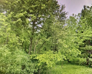 Lt1  County Highway CC  - in Polk wi. List Price: $325,000