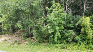 Lt3  Rock River Paradise  - in Watertown wi. List Price: $89,900