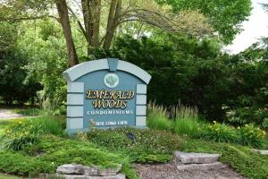 Emerald Woods 13060 W Bluemound Rd Rd 201 in Elm Grove wi. List Price: $349,000