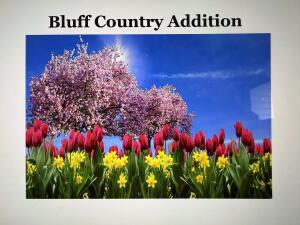 BL2 Lot 7  Tulip  St in Rockland wi. List Price: $75,000