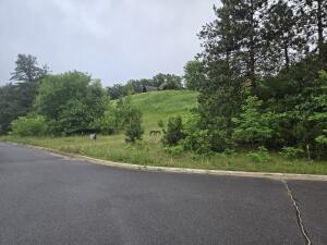 255 & 257  Blossom  Dr in Warrens wi. List Price: $45,000