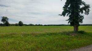 Lt1  Peshtigo River  Rd in Laona wi. List Price: $154,900