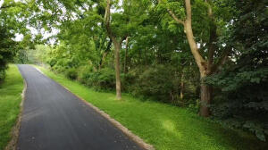 Lt0  Old Farm  Rd in Linn wi. List Price: $299,000
