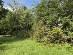 Lt53  Dietrich  Dr in Twin Lakes wi. List Price: $35,000