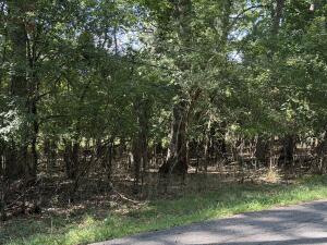 Lt39  Lakeview Park  Dr in Linn wi. List Price: $160,000