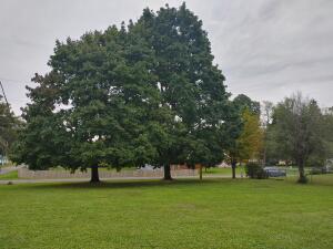 Lt2  Pine  Rd in Bloomfield wi. List Price: $45,000