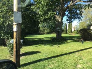Lt0  Spring  St in Mount Pleasant wi. List Price: $109,000