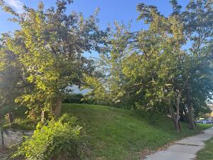 1001 S 12th  St in Milwaukee wi. List Price: $6,000
